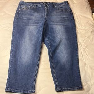 💥3/$10💥 Earl Plus Size Capris Size 24W